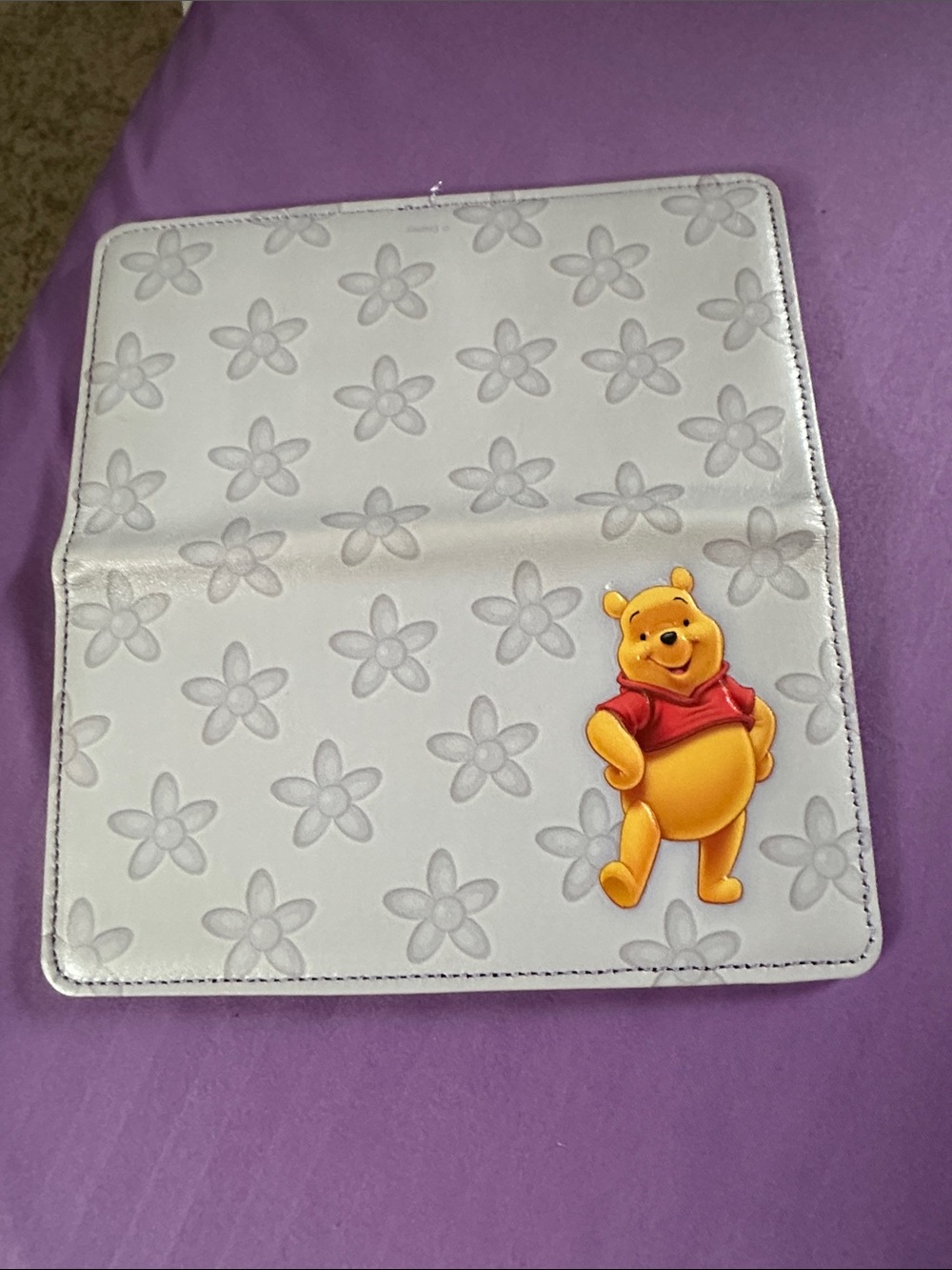 Winnie the Pooh check book cover